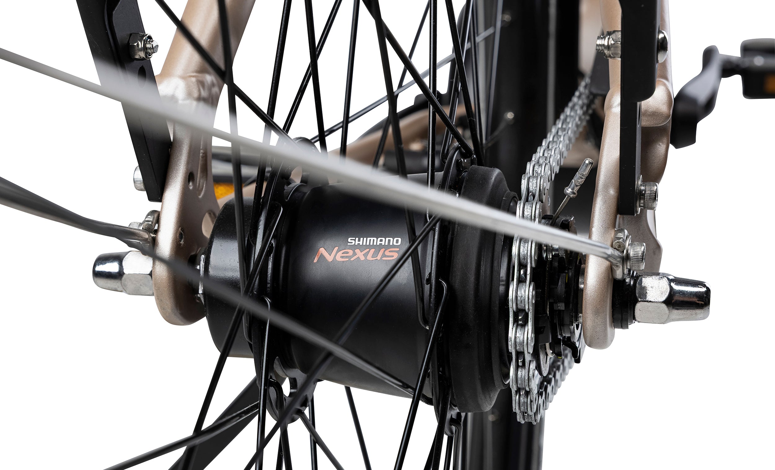 Pro E4 - Mittmotor